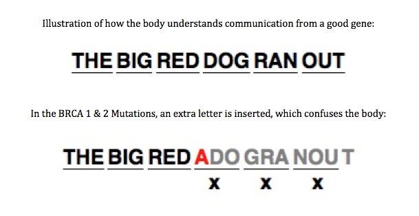 Big Red Dog Ran Out - Genetic Explanation