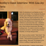Bentley's Guest Interview with Lisa Jey Davis